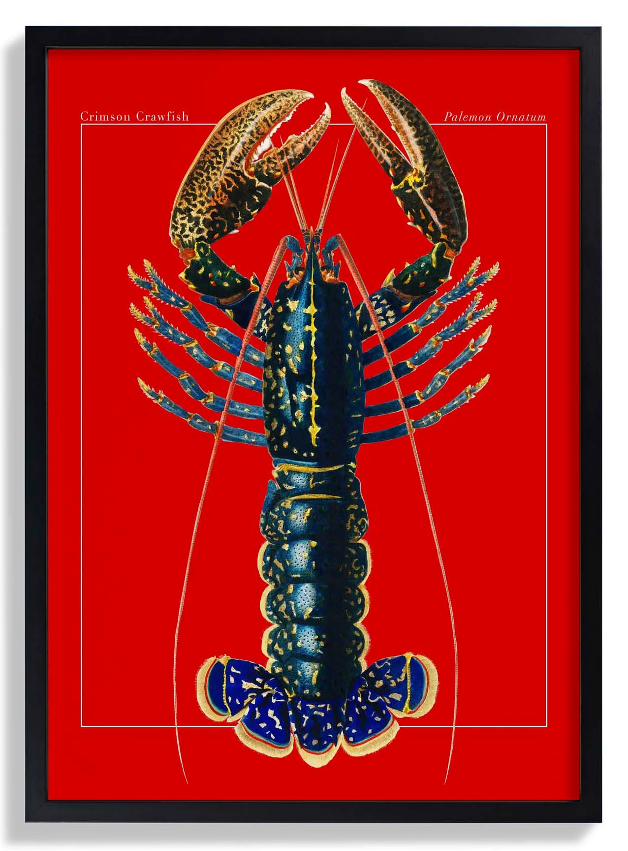 Red Lobster
