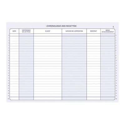 ELVE - Manifold Carnet de recettes/dépenses auto-entrepreneurs - 40 dupli - A4
