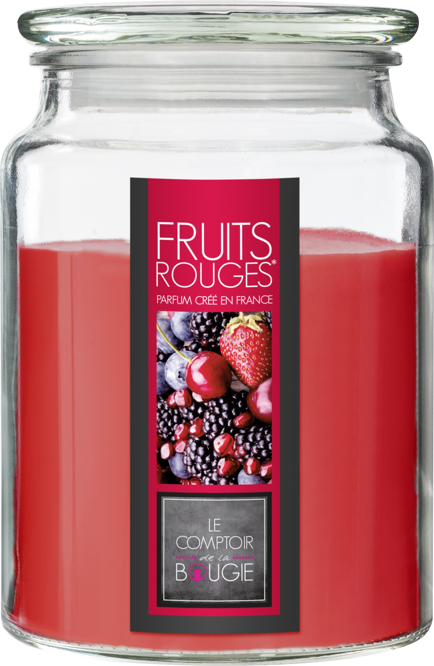 BOUGIE PARFUMEE VERRE FRUIT ROUGE NINA 510G