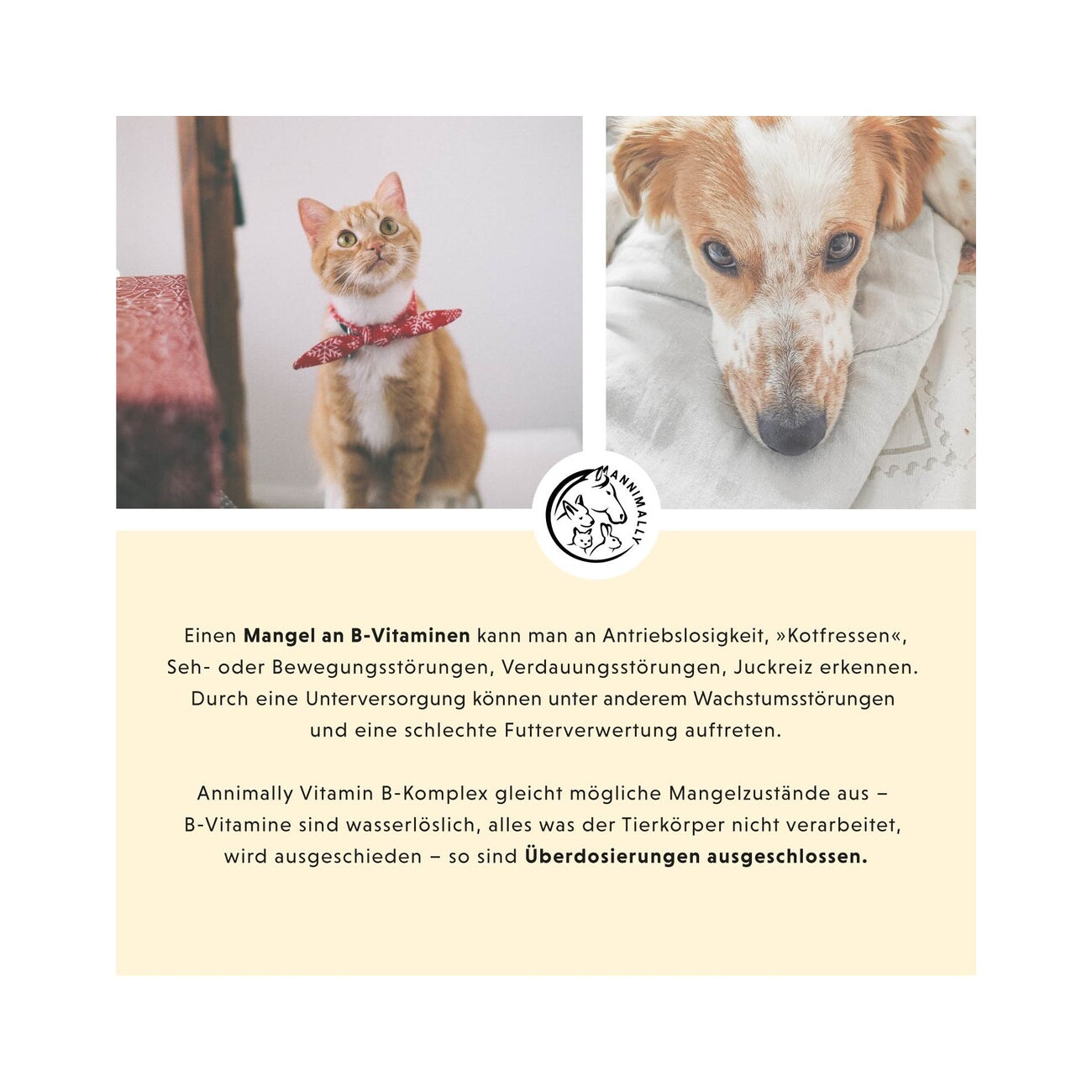 Annimally Vitamin B Komplex 120 Stück