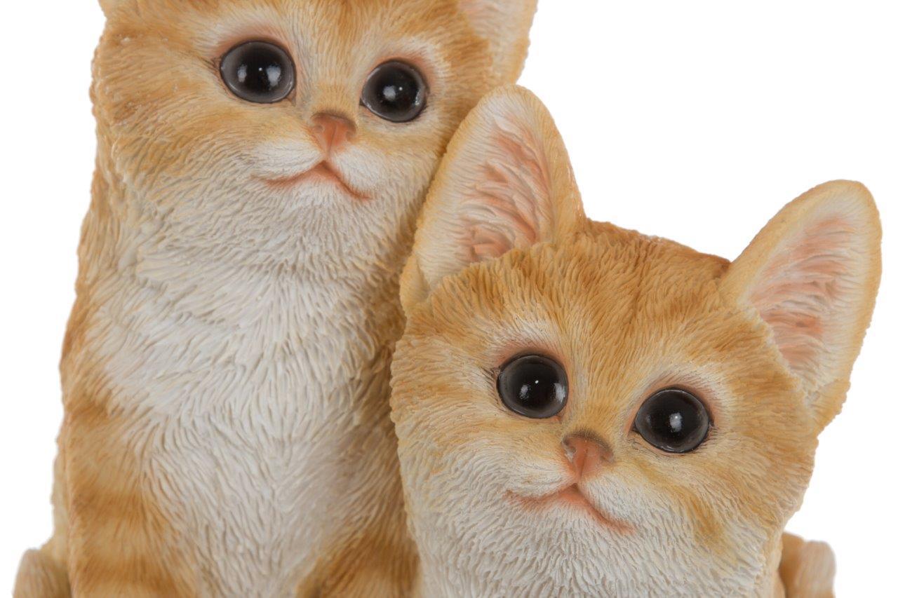 Katzenkinder - orange-weiß - 19 cm