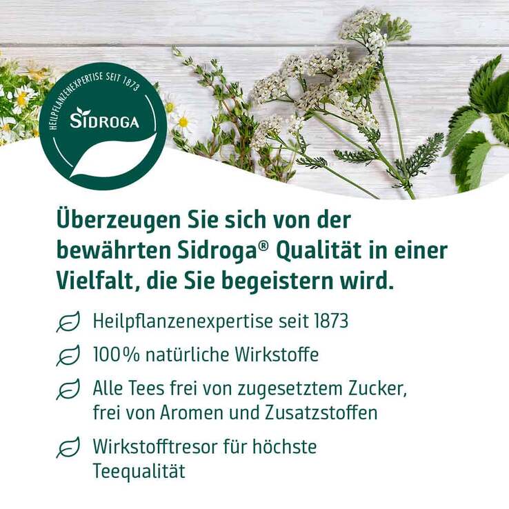 Sidroga Fenchel Anis Kümmel Tee Filterbeutel, 20X2.0 g