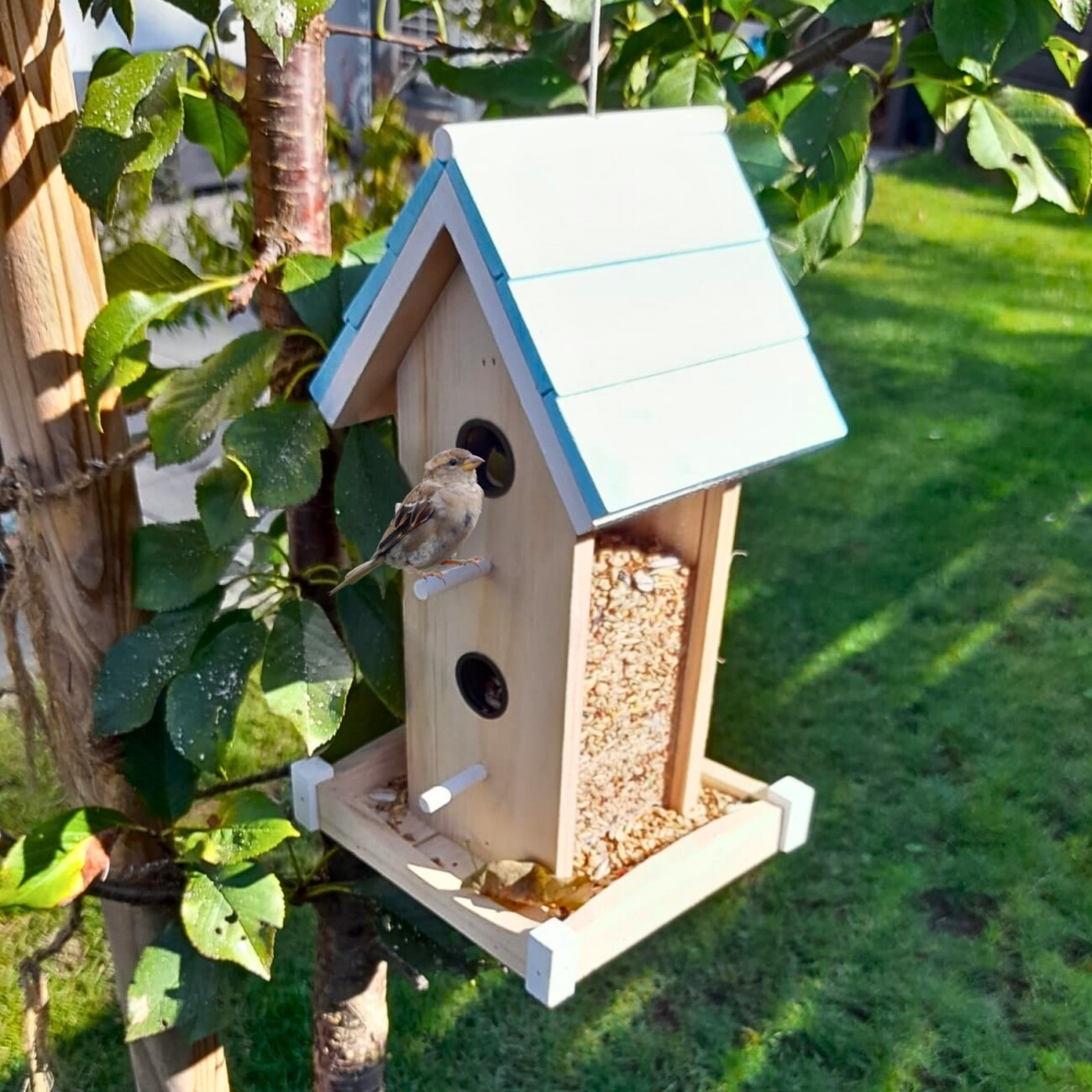 Lyra Pet Vogelhaus Villa