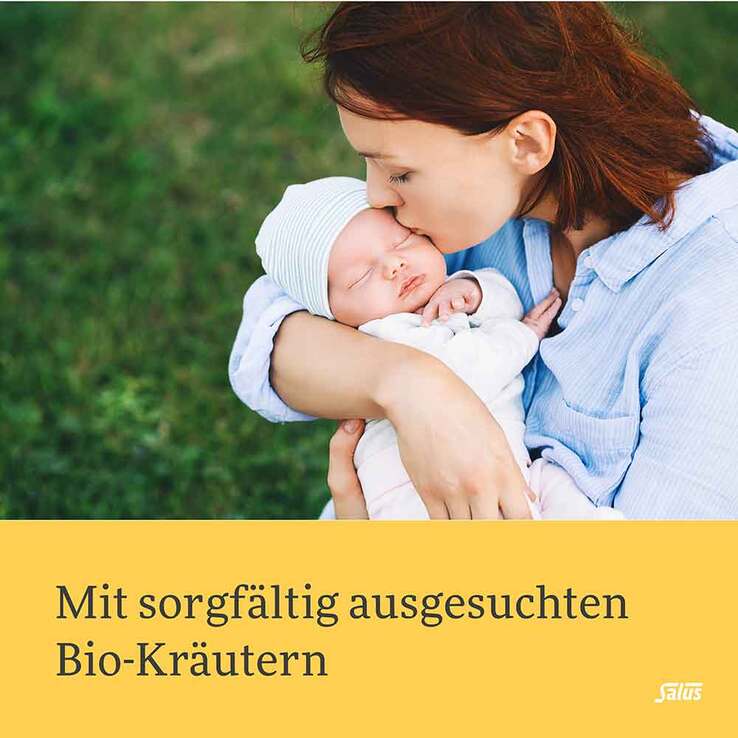 Salus Stilltee Bio Filterbeutel, 15 St