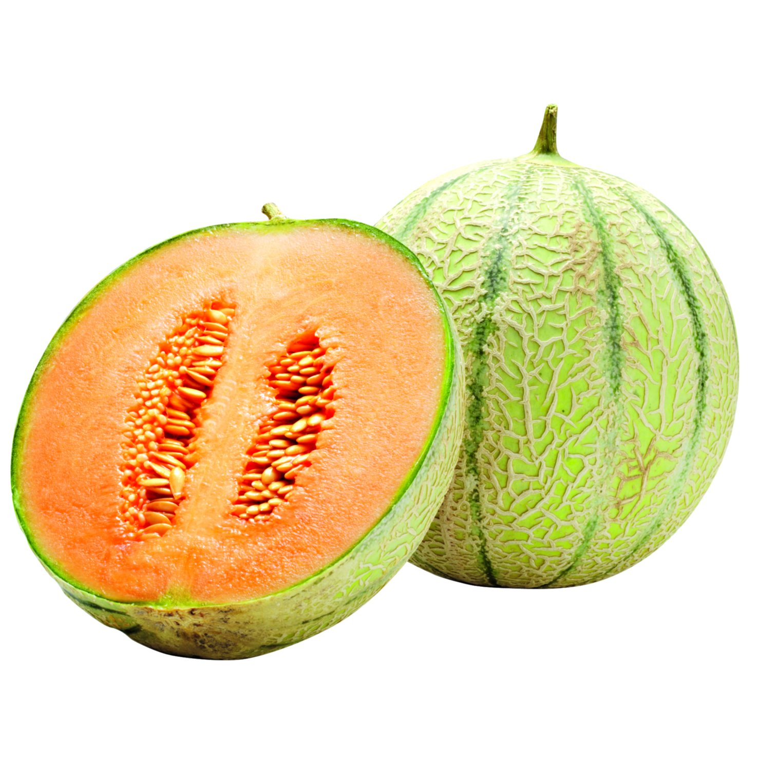 Melone Charentais 1 Stück -