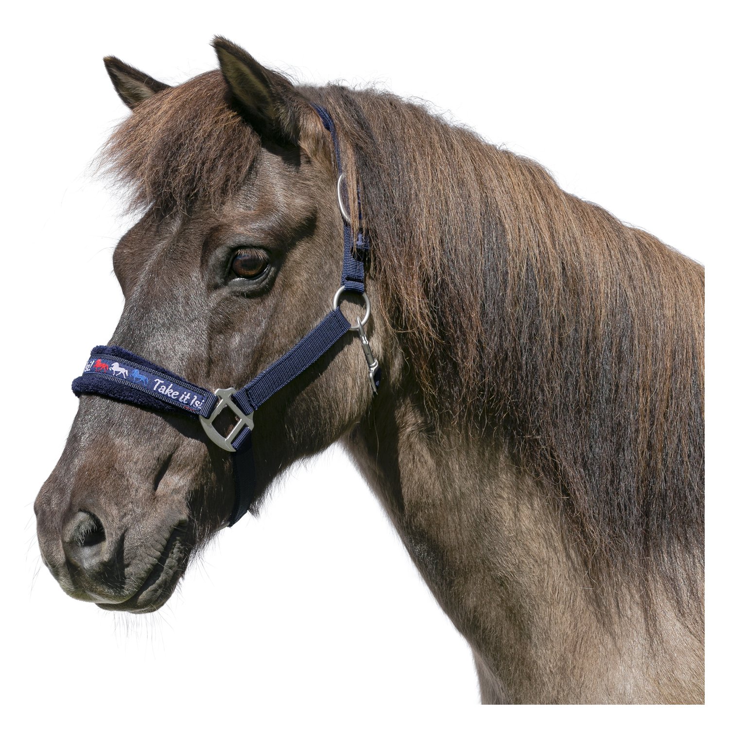 Horse-friends Webhalfter Take it Isi  - marine