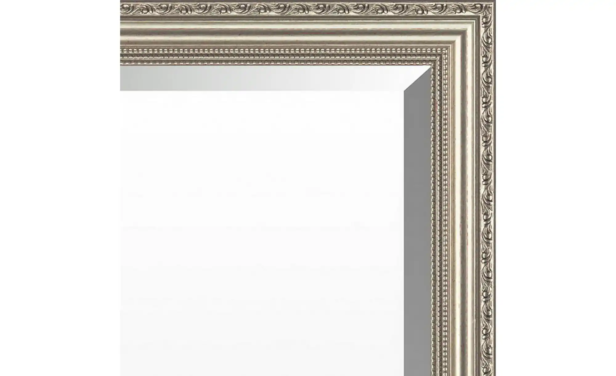 Spiegel 49 x 139 cm