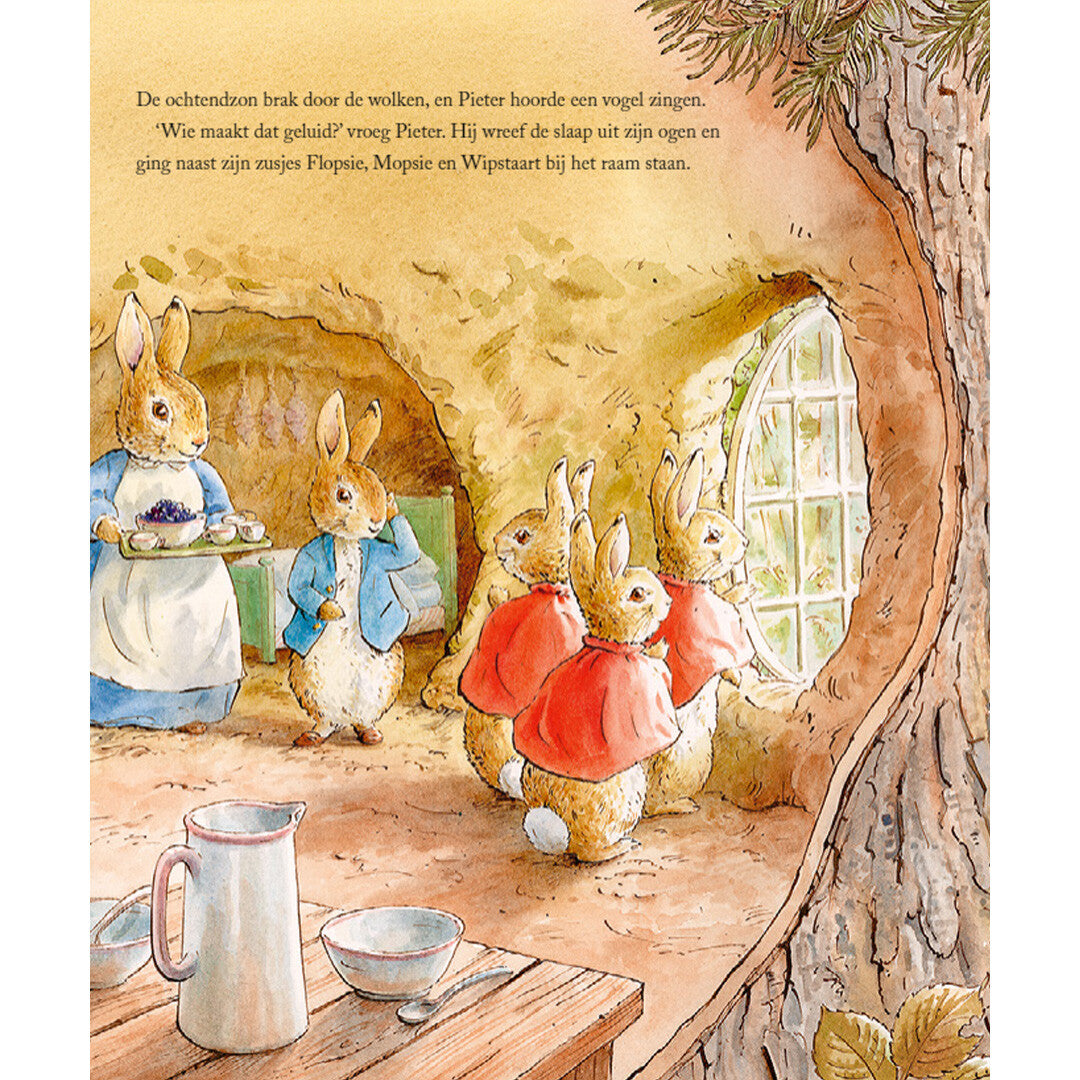 Ploegsma pieter konijn - een dag in de natuur