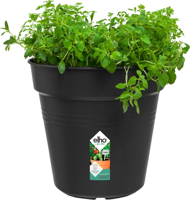 Elho kweekbak Green Basics zwart D 24 H 22,1 cm