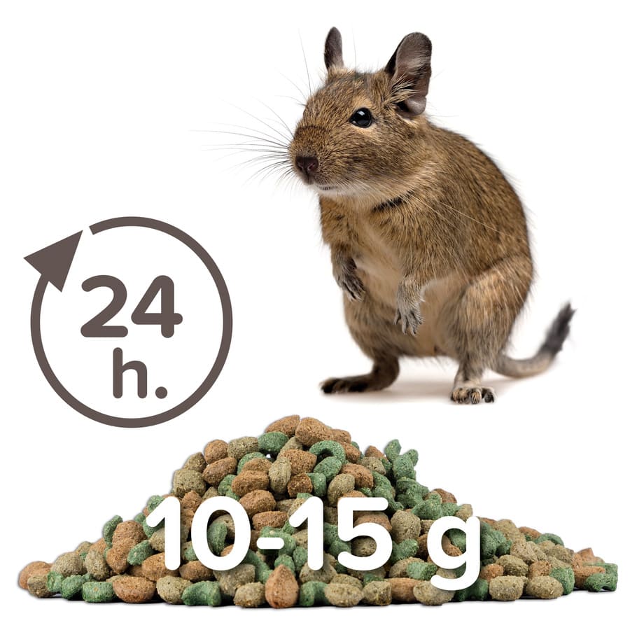 Beaphar Care+ Alimentos para Degu