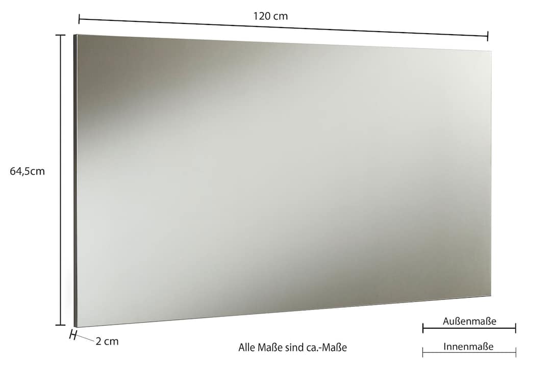 Spiegel REPORT 120 x 65 cm