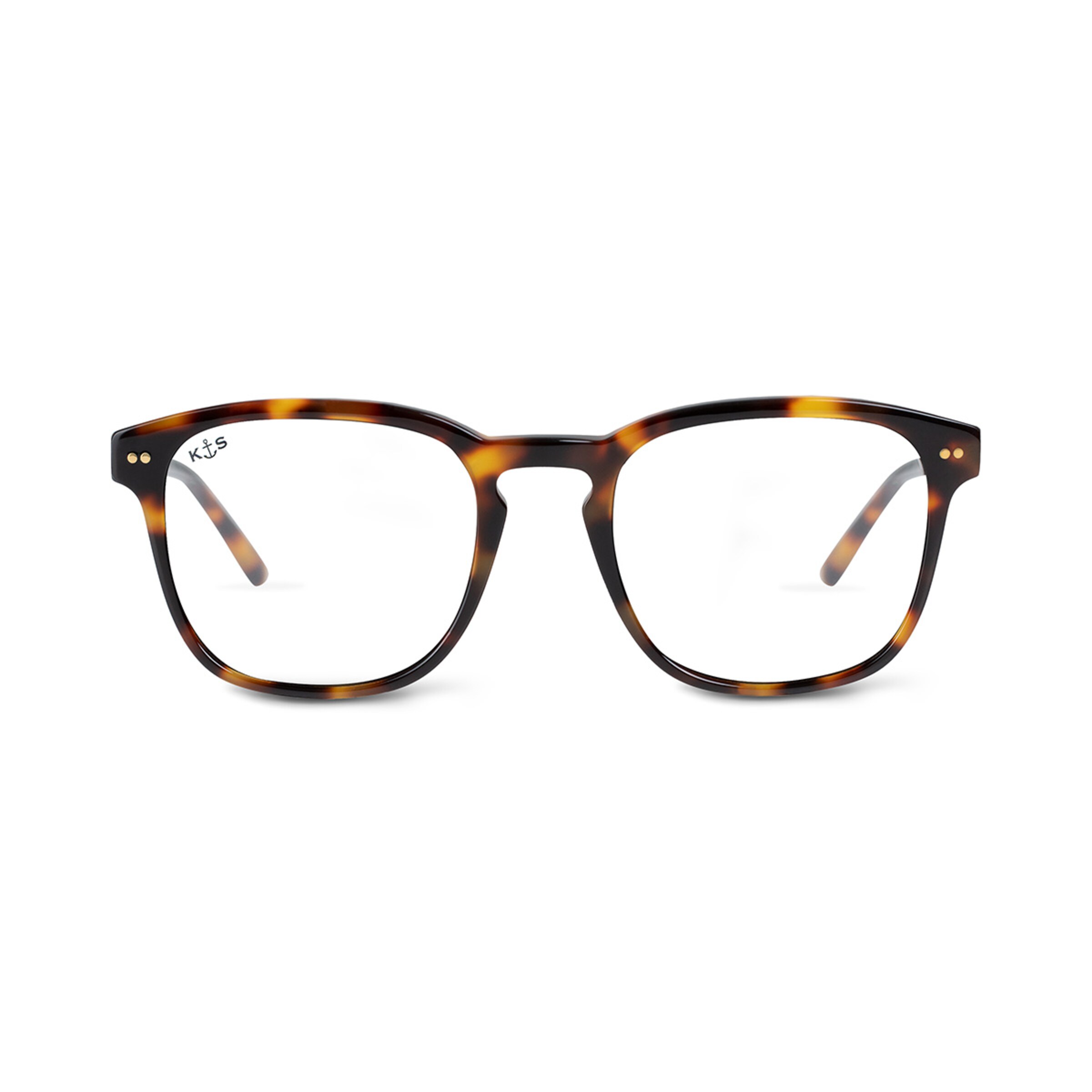 Pasadena Tortoise