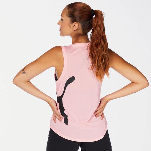 Puma Grande Felino