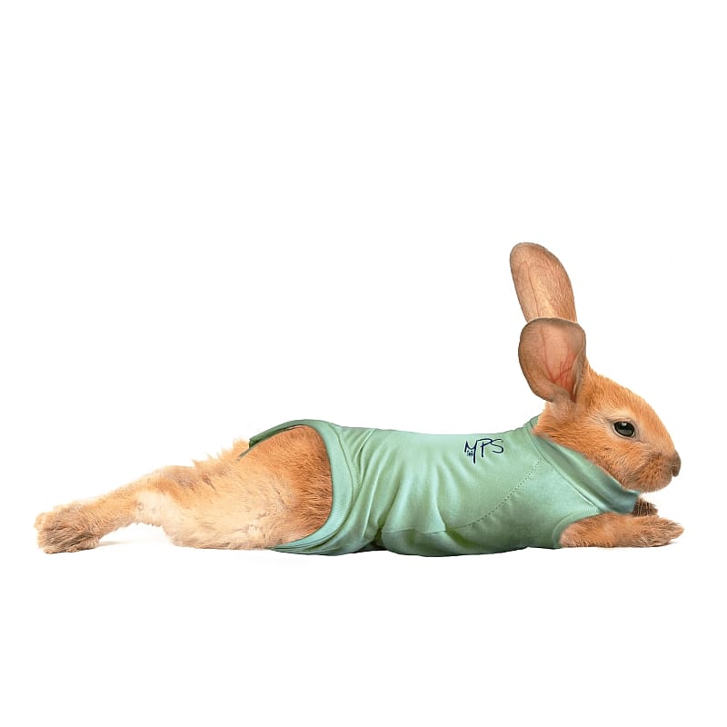 Medical Pet Shirt Konijn Maat XXXS
