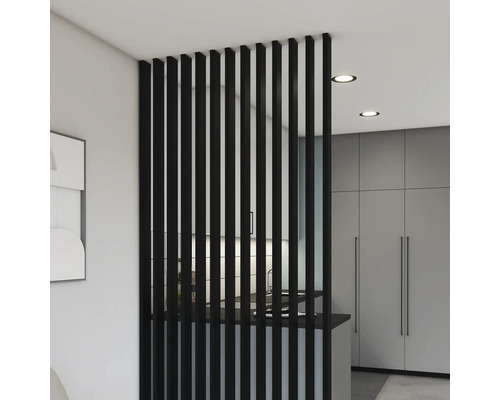 Lamellenwand voor roomdivider, lamellenwand, zwart, 2800 x 88 x 22 mm