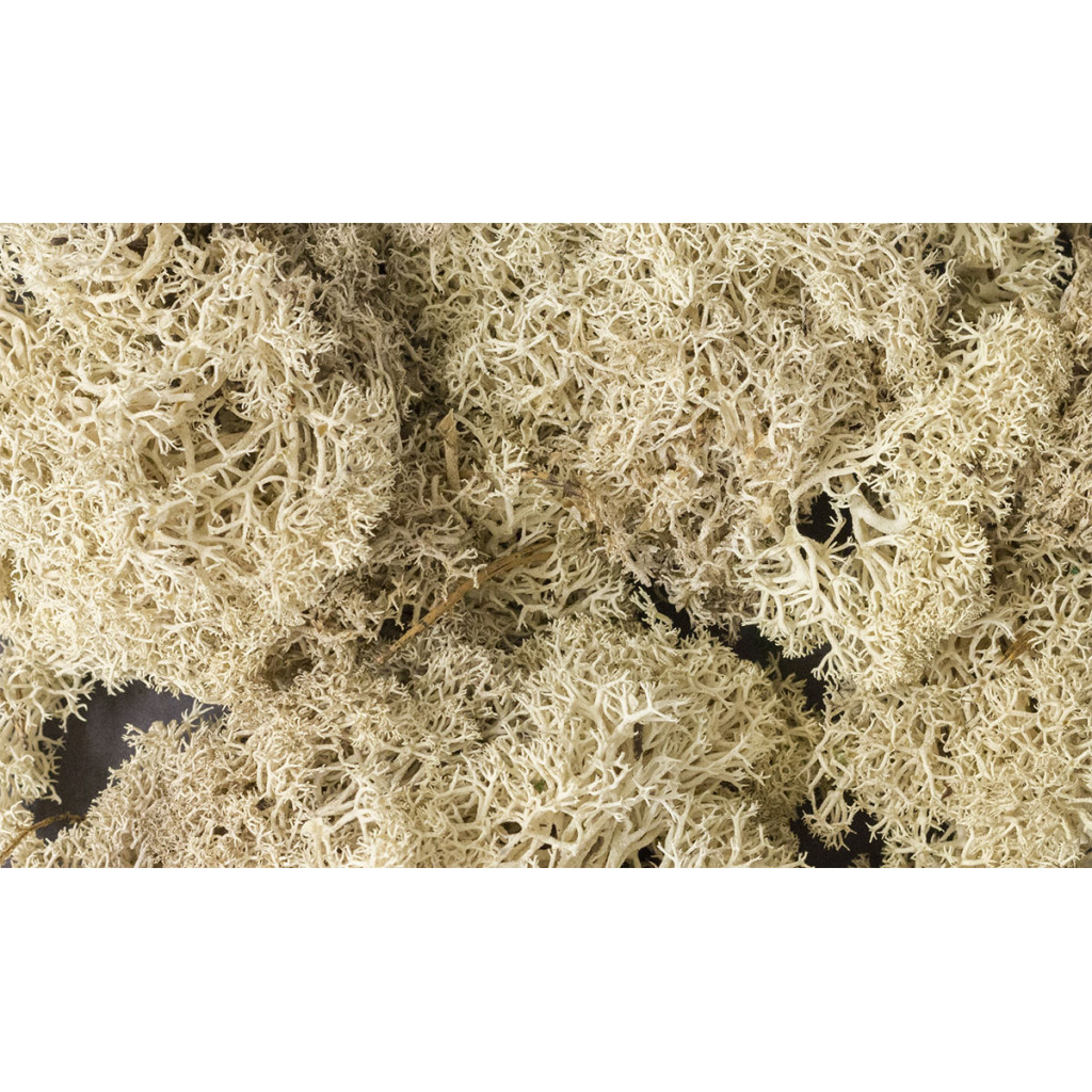 Woodland Scenics - Lichen