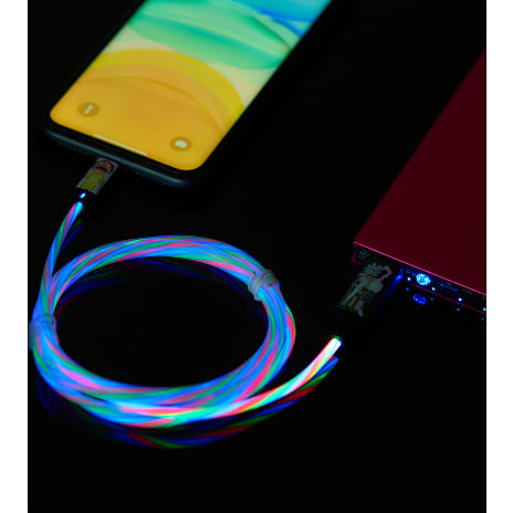 USB A-MFI stik 1,2 meter - Rick & Morty