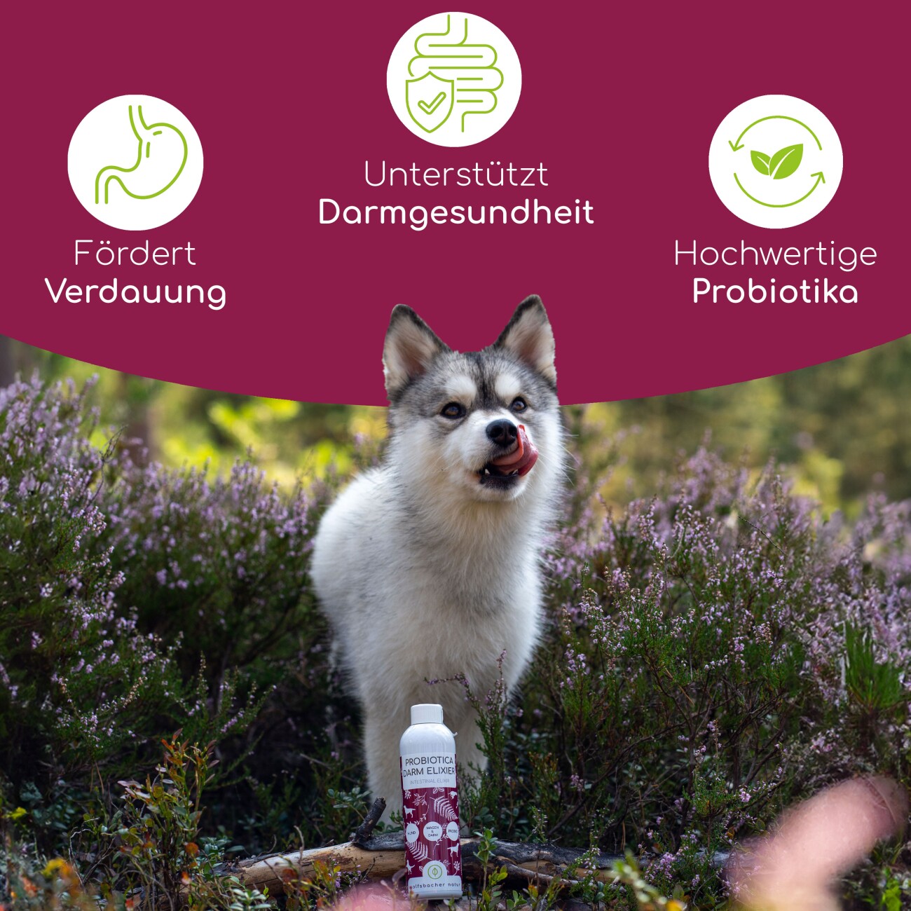 Wolfsbacher Natur Probiotika für Hunde