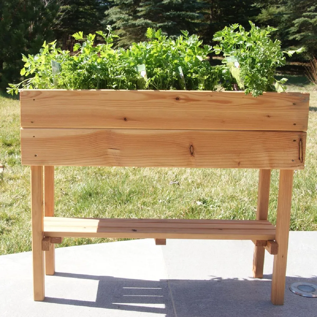 Robin Hood Potager sur Pied - Kid