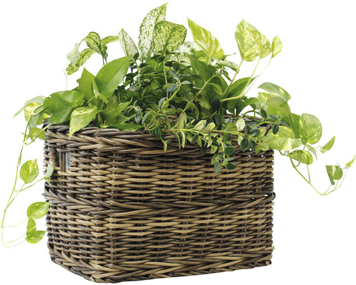 Lafiora polyrotan mand, 48 x 32 x 30 cm, bruin
