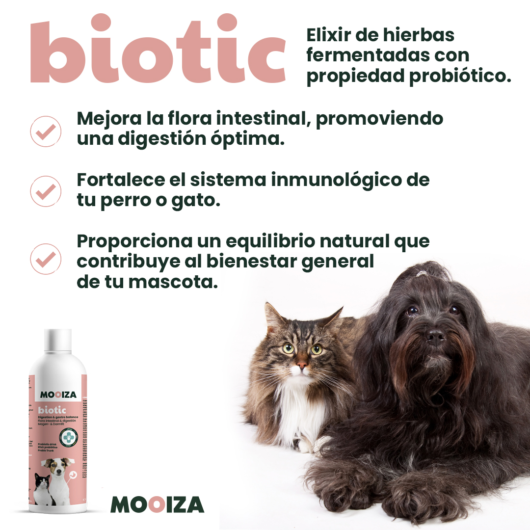 MOOIZA biótico - líquido prebiótico com ervas