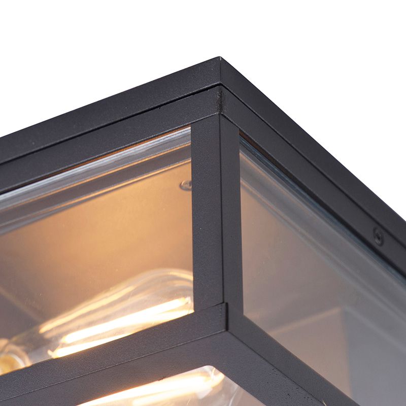 Industriële plafondlamp zwart IP44 2-lichts - Charlois
