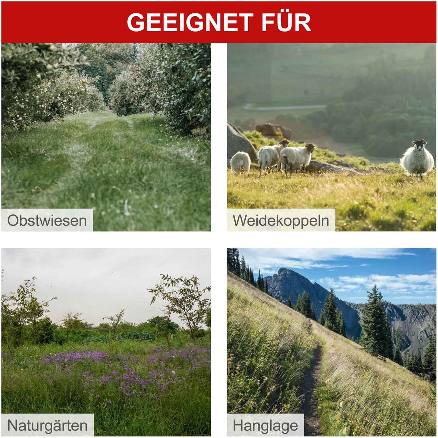 Scheppach Benzin Balkenmäher BMS196-88 | Schnittbreite 880mm | Schnitthöhe 30-60mm | 5,7 PS / 196ccm | für Rasenflächen bis 3000m² | Rasenmäher mit Radantrieb | Hochgrasmäher | inkl. Motoröl