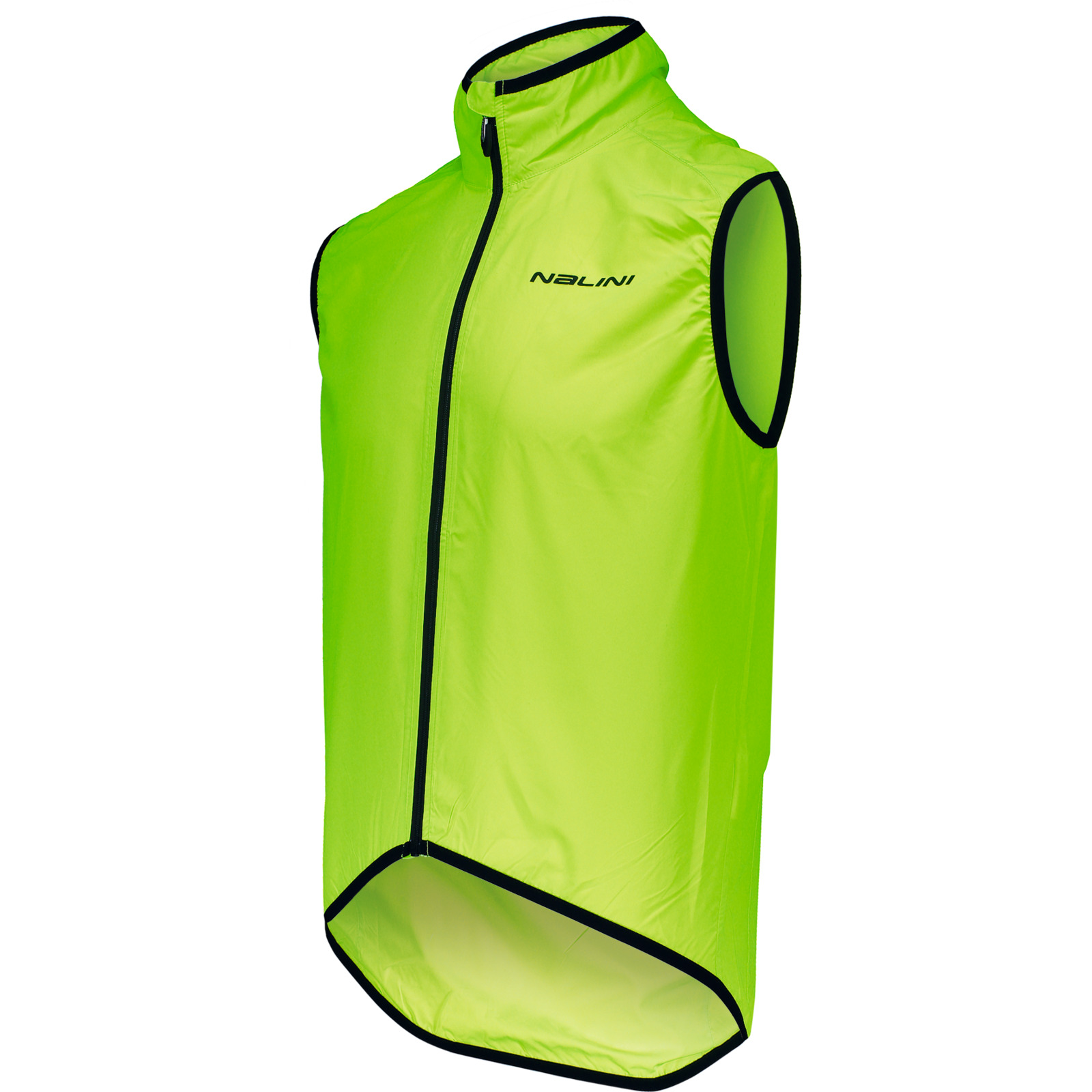 Nalini Herren-Radveste Arietta L