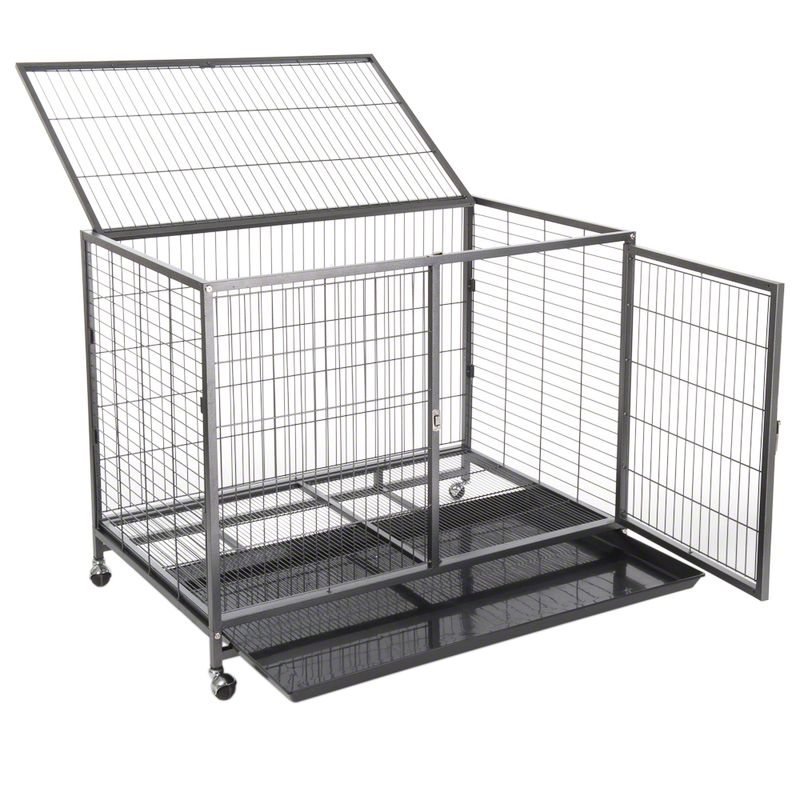 Cage d'intérieur Tabby à prix discount sur bitiba.fr
