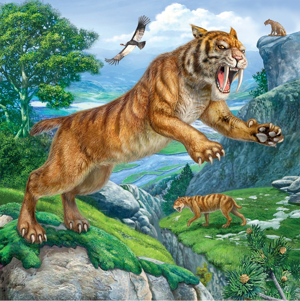 Ravensburger - Primeval Ruler 3x49p