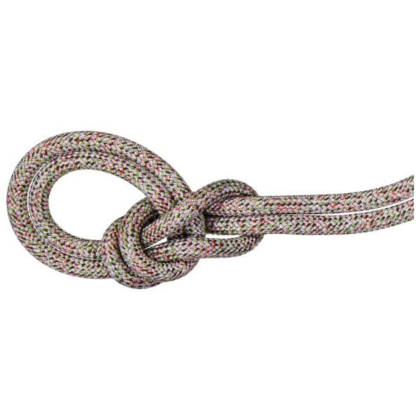 Mammut - 8.0 Alpine Core Protect Dry Rope - Corde à double