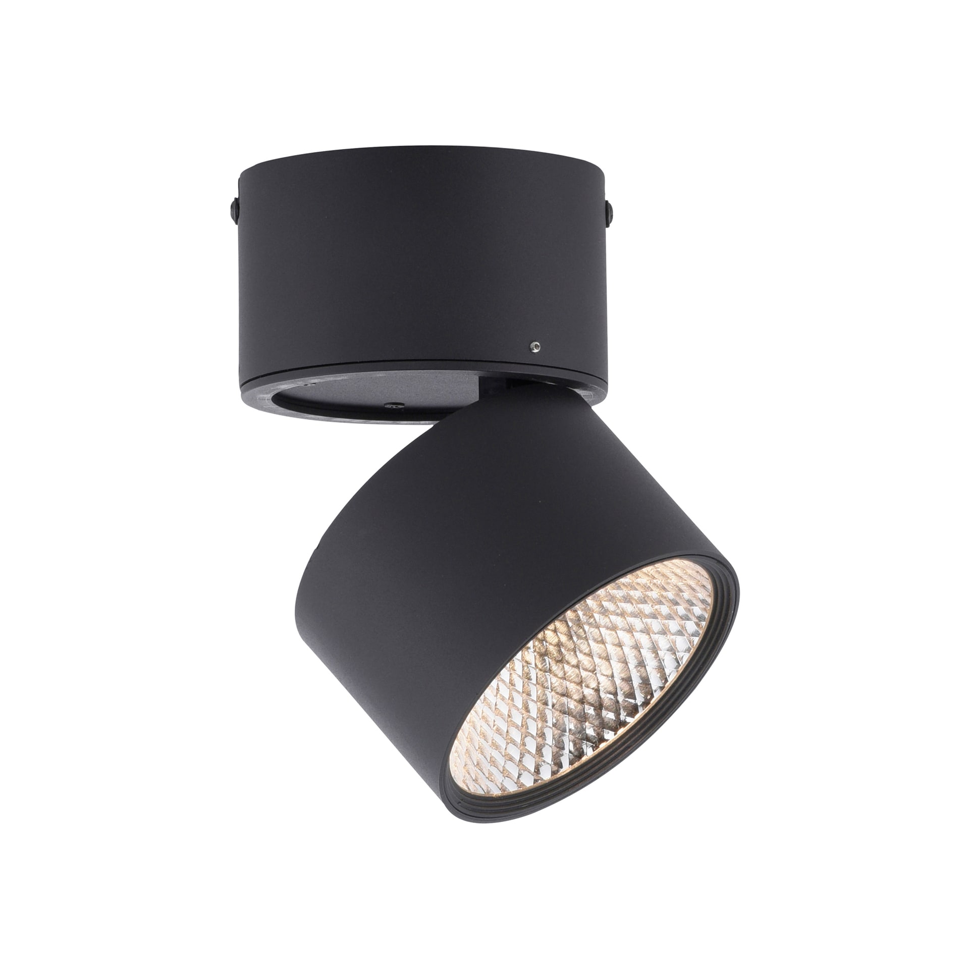 Paul Neuhaus LED Deckenlampe mit 1 Spots PURE-NOLA 15 cm schwarz