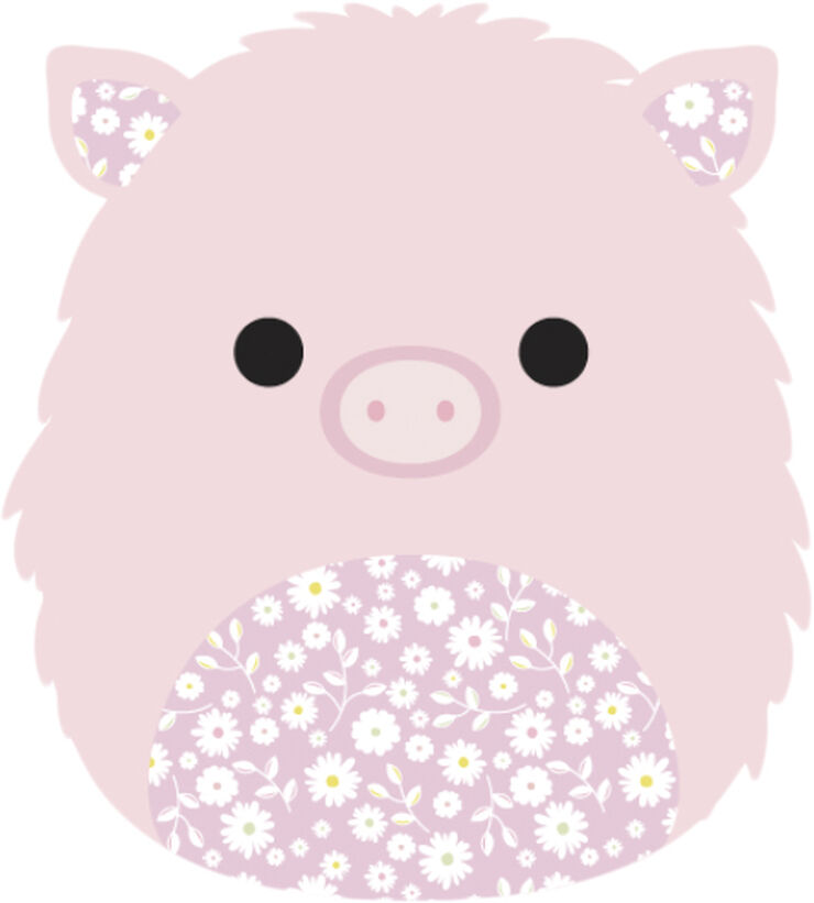Squishmallows Squishmallows 50 cm P18 F
