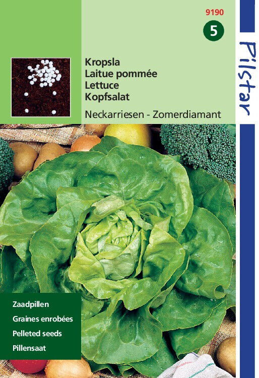 Hortitops Neckarriesen Zomerdiamant Zaadpillen - Kropsla