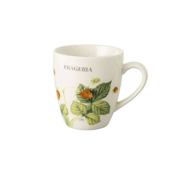Marjolein Bastin Wildflowers Frageria minimok