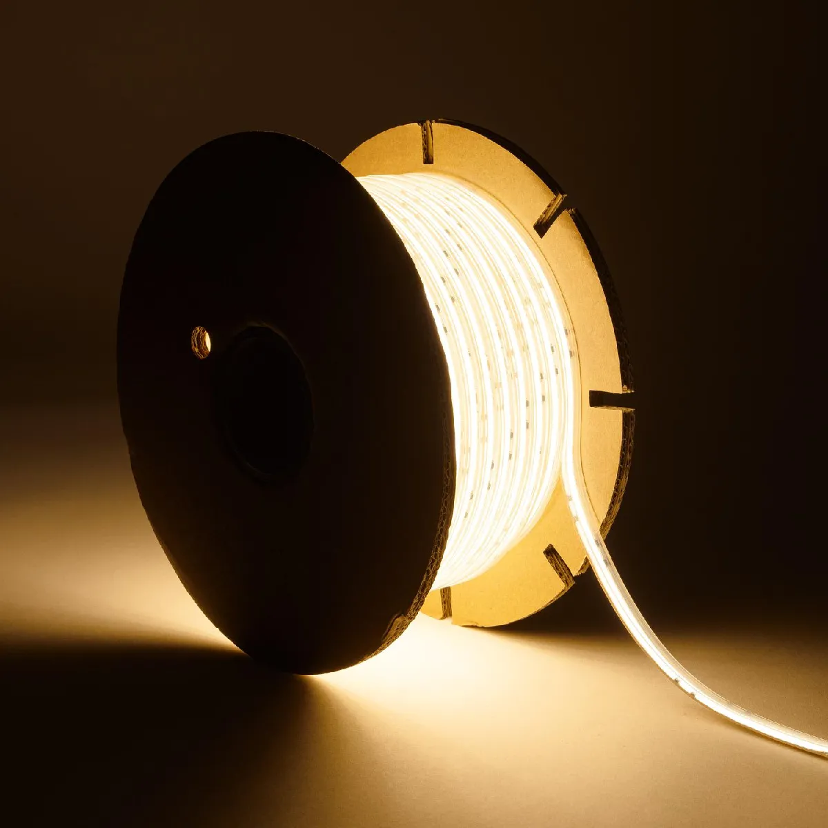 Ledkia Bobine Ruban LED COB 220V AC Silicone FLEX