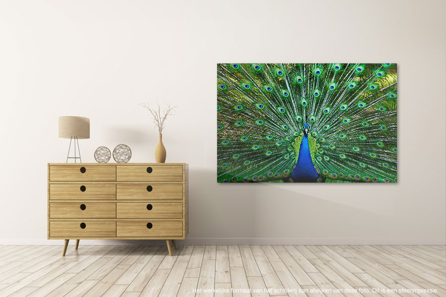 Canvas schilderij Pauw 120 x 80  cm