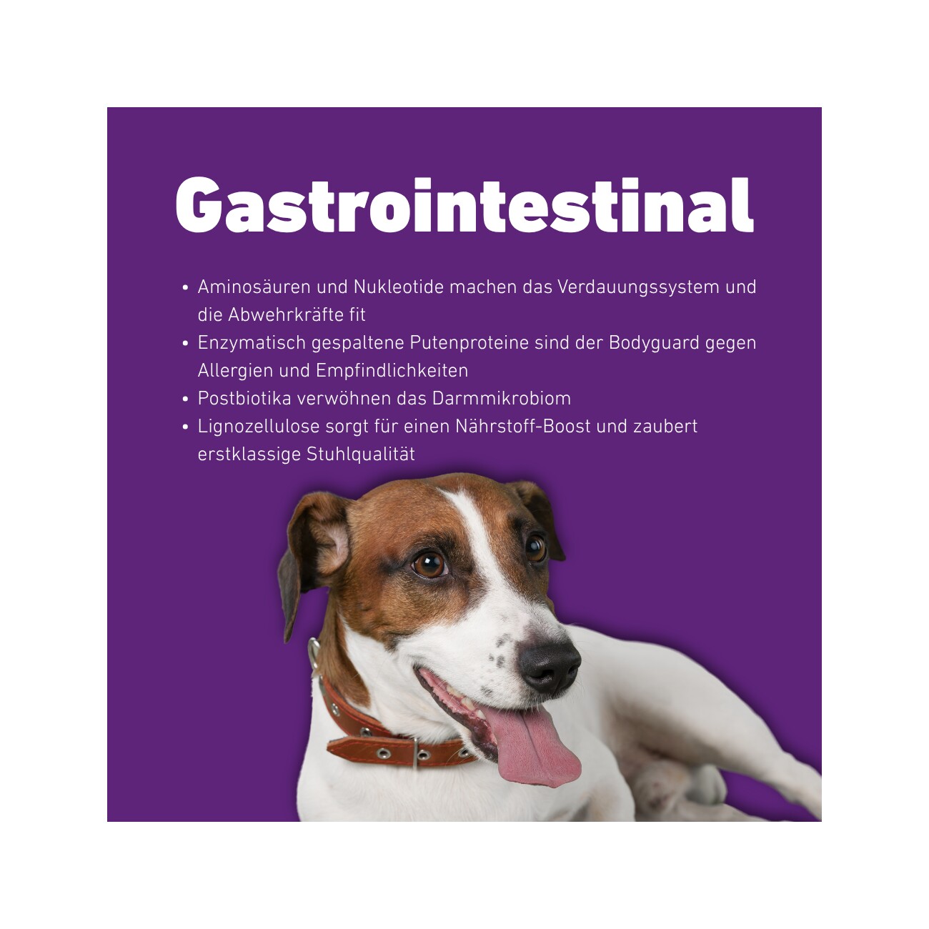 Wildfang VetLine Trockenfutter mit Peptiden für Hunde - Gastrointestinal 100 ml