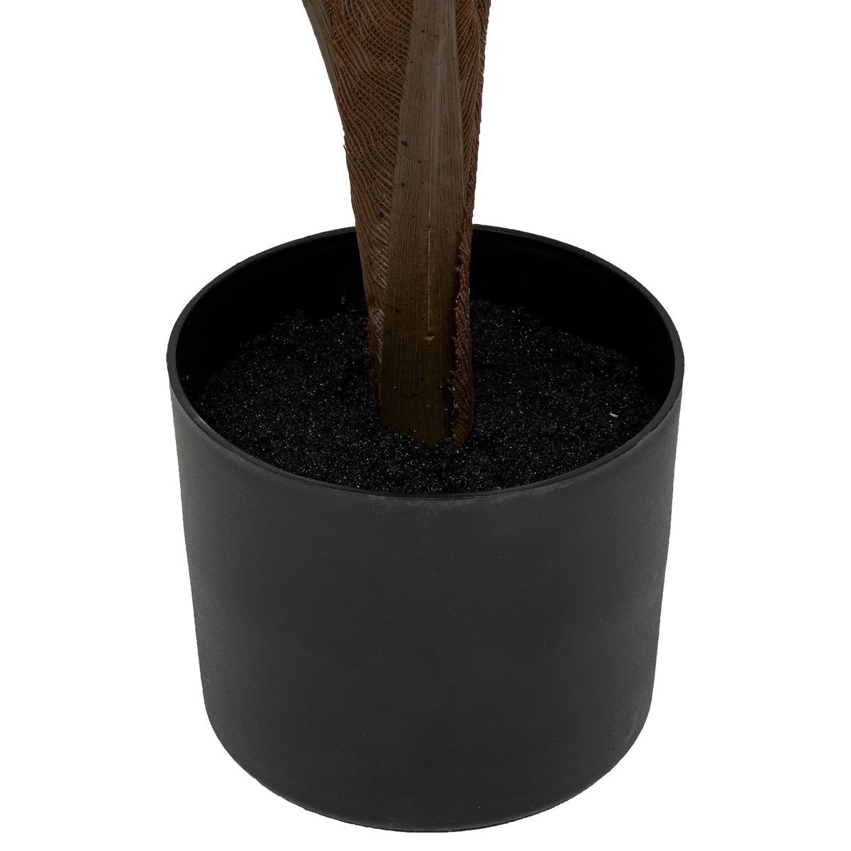 PALMIER BAMBOU OLME H.120CM
