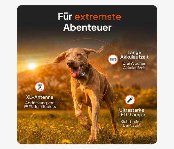 Weenect XT GPS-Tracker für Hunde inkl. JK9