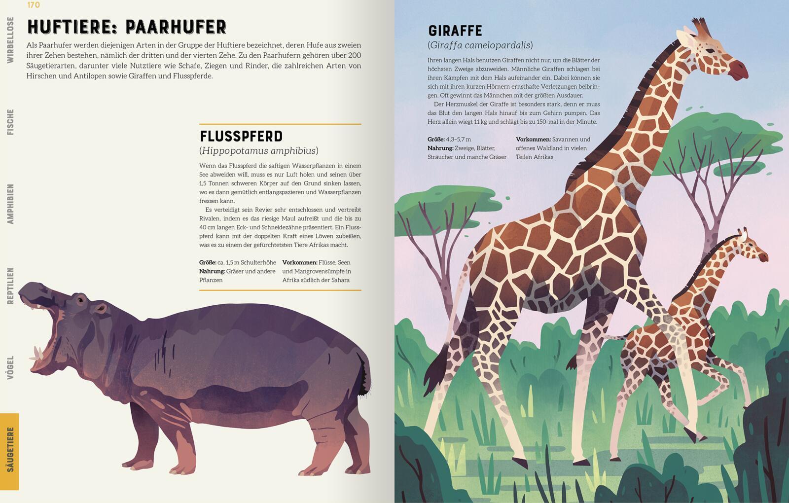 Das große Lexikon der Tiere