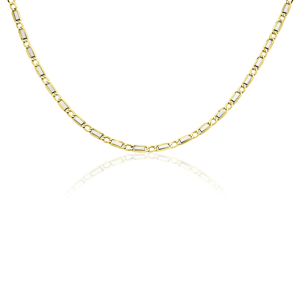 Collier Danae Maille Plaquette Alternée 1/1 Or Bicolore