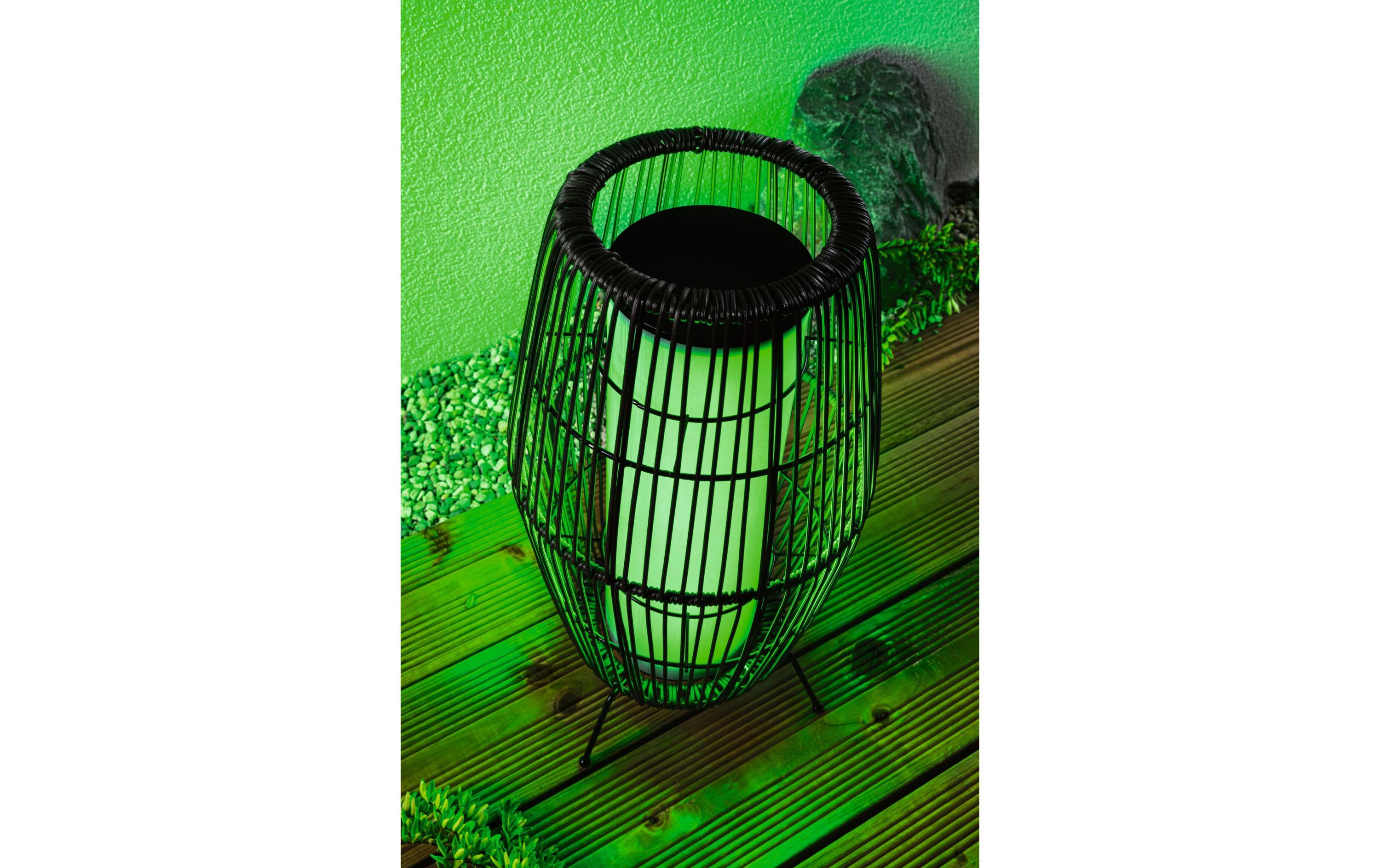 Stehleuchte Plug & Shine Basket, RGBW, 3.2W, Schwarz<br>LED Lichtobjekt