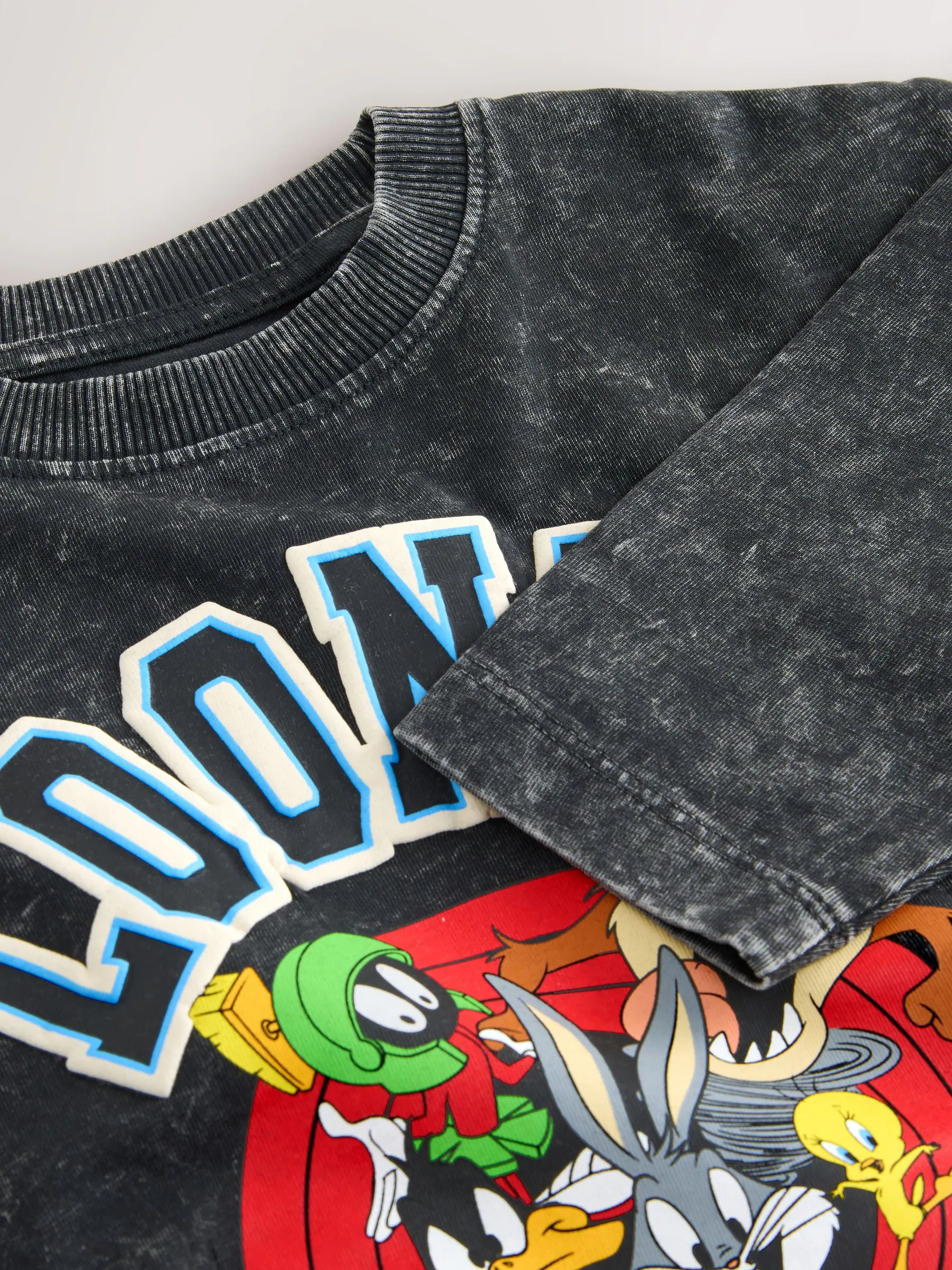 Antraciet - Looney Tunes T-shirt met lange mouwen (3mnd -8jr)