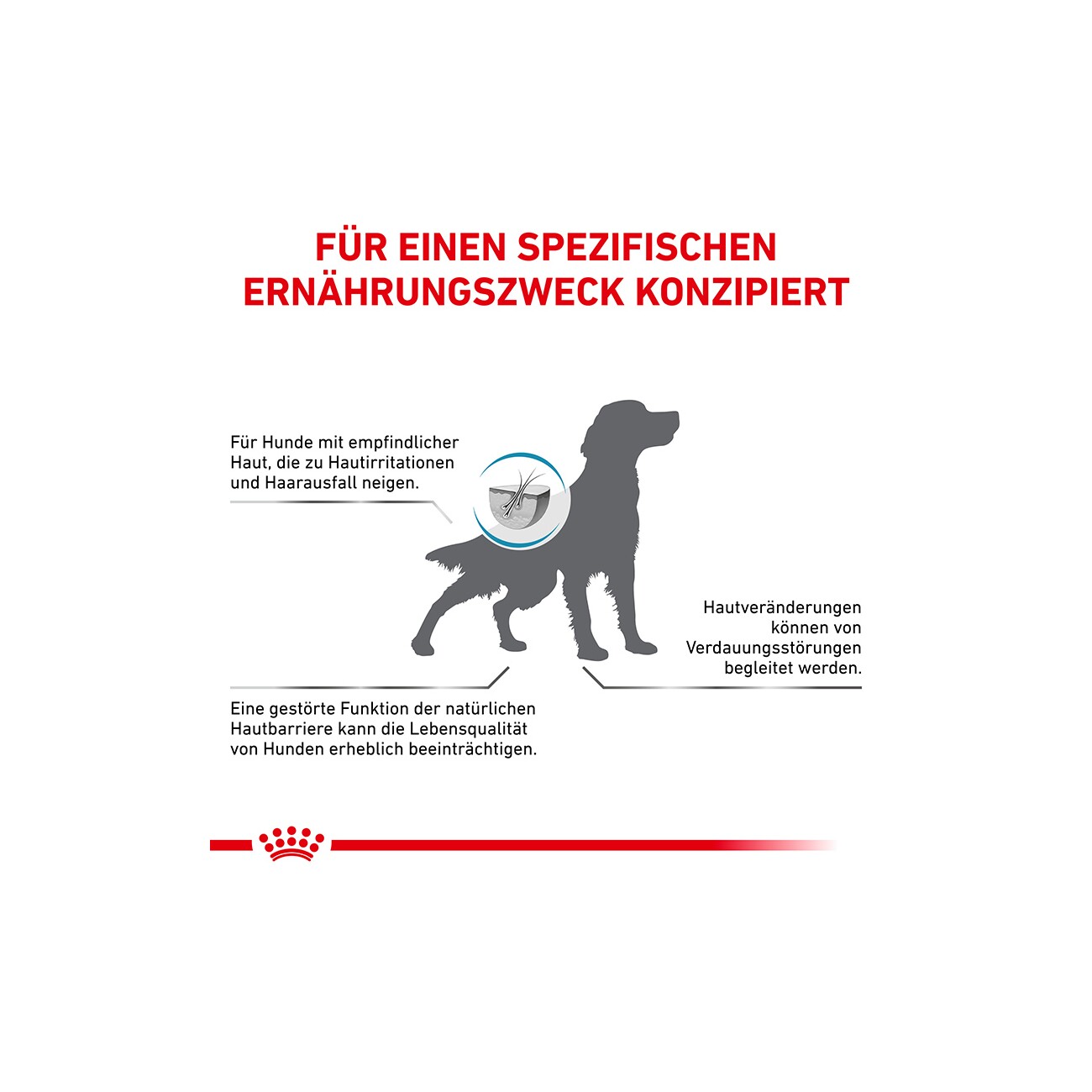 ROYAL CANIN Veterinary Skin Care 11 kg