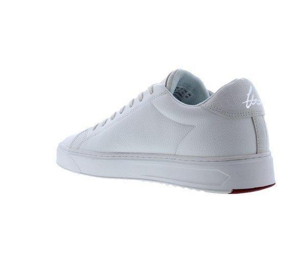 Loyalti Loyalti Patriot Reptile Trainers