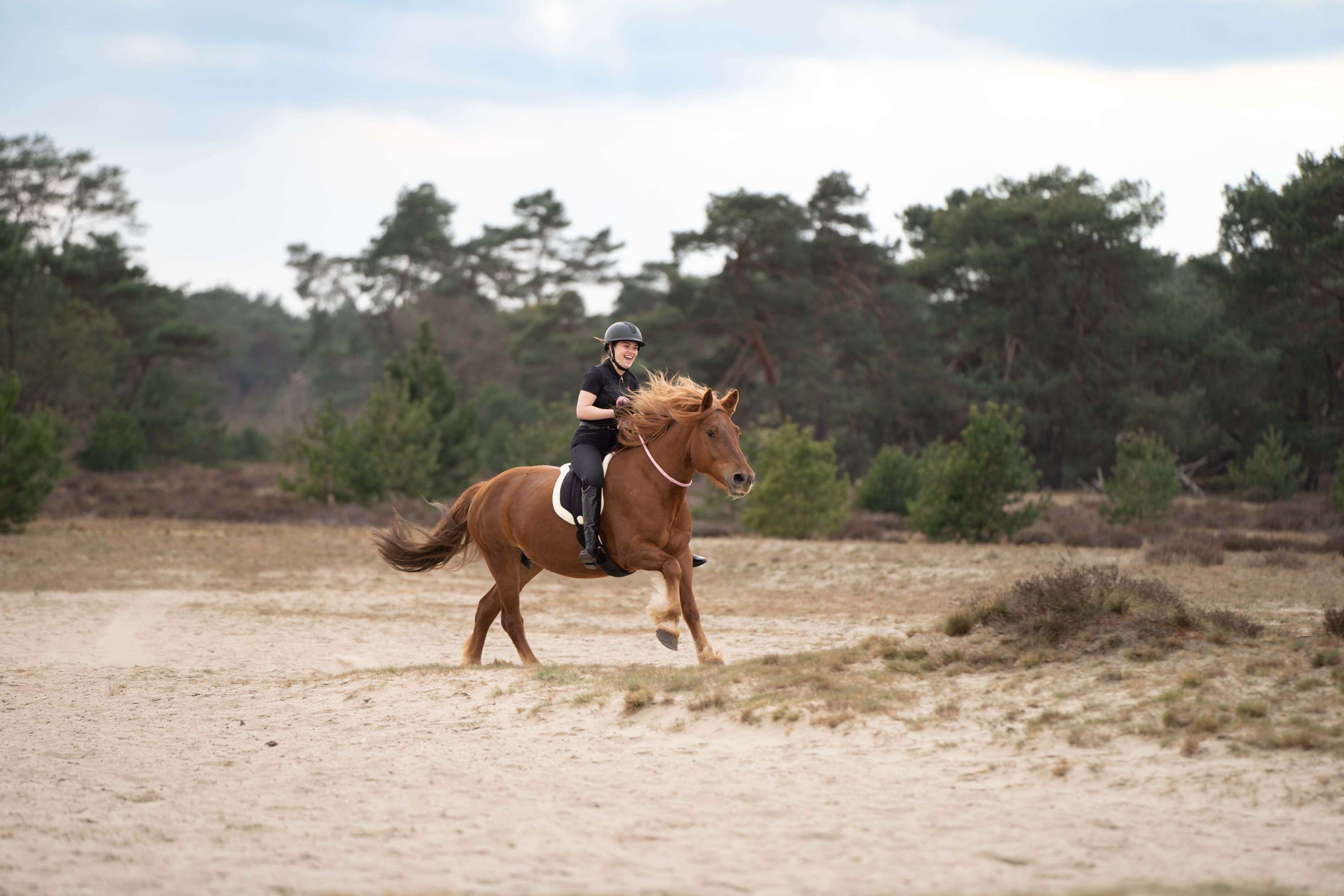 Imperial Riding Touwhalster IRHFree Ride Zwart