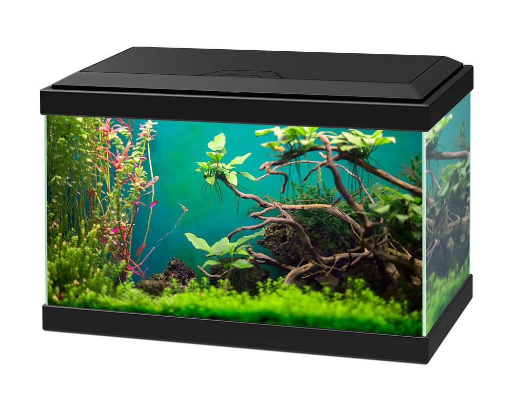 Ciano Aqua 20 Classic