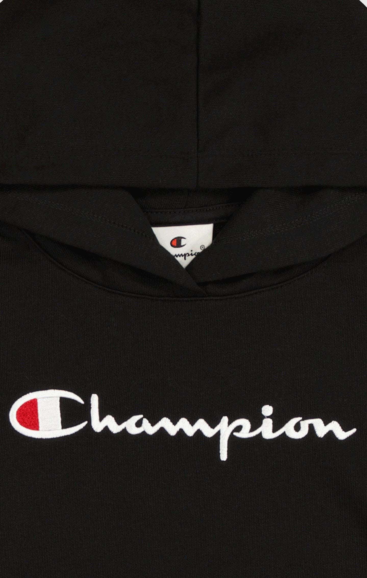Big Logo Icons Hooded Sweatshirt Jente Black Beauty