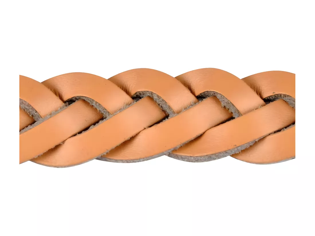 Collier pour Chien Réglable 